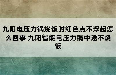 九阳电压力锅烧饭时红色点不浮起怎么回事 九阳智能电压力锅中途不烧饭